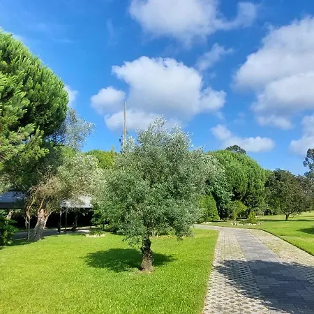 Quinta Do Mateus Apartment Aveiro Exterior photo